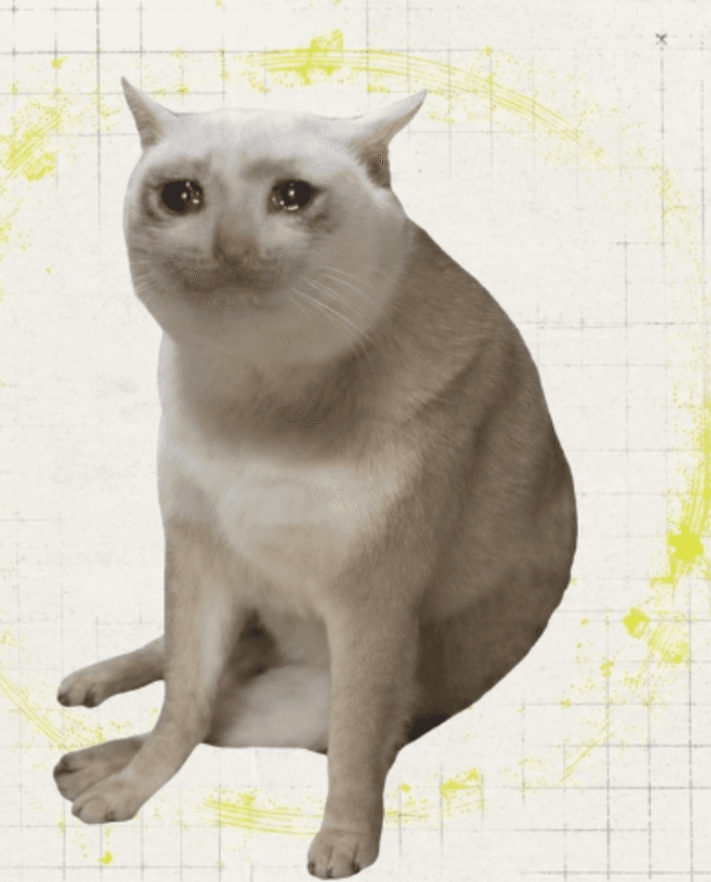 Crying CashCat mascot